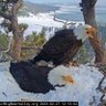 Box Seat Duck Hunter's profile picture
