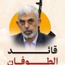 ahmed yassine's profile picture