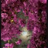 Фото профиля حصه