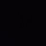 คน ป่า's profile picture