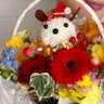 ピンポン💖マム profil fotoğrafı
