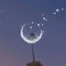 Annie's profile picture