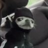 Youri Orlov's profile picture