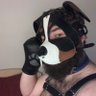 Banter the Dog 🔜FC's profile picture