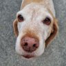 Profilbild von Betty