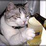Фото профиля とある酒好き