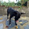 oscar 🇪🇸 profil fotoğrafı