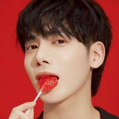강야옹's profile picture