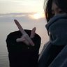 Wwwiia( 互 fo互赞 💯) 的头像