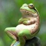 砂漠大臣 profil fotoğrafı