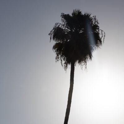 damonrush_'s profile picture