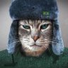 Фото профиля O Gato 😼