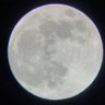 Profilbild von Fullmoon