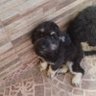 Kevin Delgado profil fotoğrafı