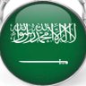 Abu Alwaleed 的头像