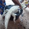 Profilbild von Olotu Dakosta Oluwagbemiga