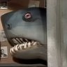 Profilbild von i'm only a dolphin ma'am
