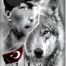 Burak's profile picture
