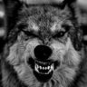 ¹Türk's profile picture