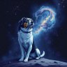 6717's profile picture