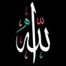 Profilbild von Muslim 🕋🇸🇦 3 3 24🔻17 12 10🔻 3 7 13 🔻 8 12 24