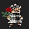 rose taylor's profile picture