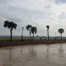 Trọng Trinh's profile picture