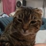 Darwin's profile picture