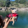 Wally Dobby's profile picture