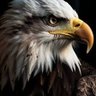Mohannad profil fotoğrafı
