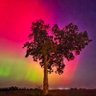 Фото профиля Dave H