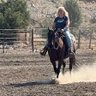 NV Homesteader's profile picture