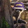 Swamp Coon profil fotoğrafı