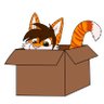 Profilbild von Some orange cat