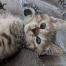 ããâïžðãããããçé profil fotoÄrafı