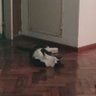 Фото профиля Tomi
