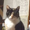 Profilbild von Okui35