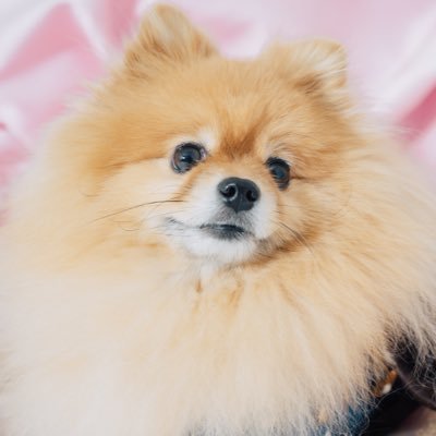 coppe_0621's profile picture
