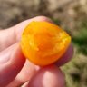 Profilbild von Gray Pebble