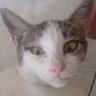 diluarnurul's profile picture