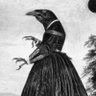 Sylphie Syrinx-Ette's profile picture