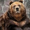 Smokey Bear (Charles M.) 的头像