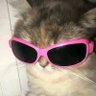 Profilbild von 77Z
