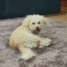 Алдар-косе's profile picture