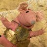 Major Clanger profil fotoğrafı