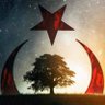 Hazal profil fotoğrafı