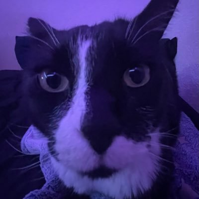 Chamqp's profile picture