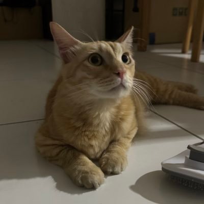 jiyong's profile picture