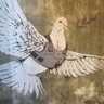 John yk's profile picture