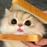 nyamnyam💋 的头像
